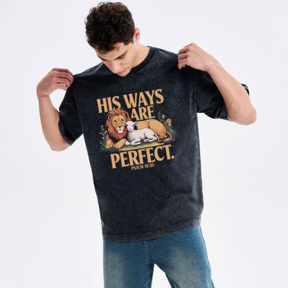 His Ways Are Perfect Chrsitian Washed T-Shirt