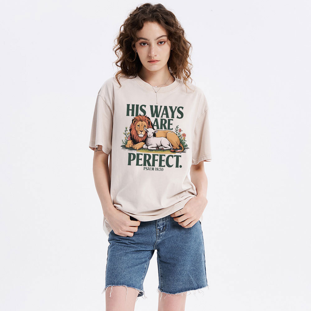 His Ways Are Perfect Chrsitian Washed T-Shirt