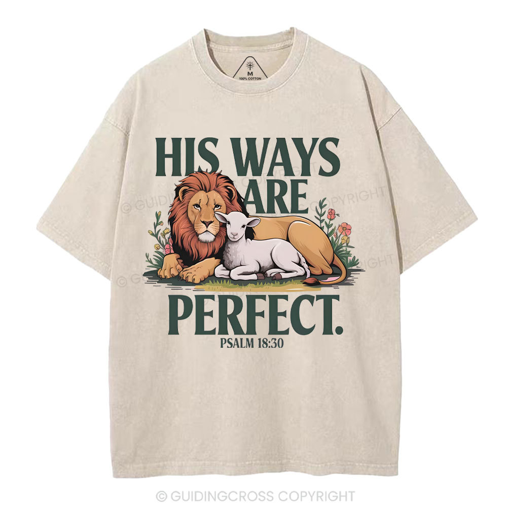 His Ways Are Perfect Chrsitian Washed T-Shirt