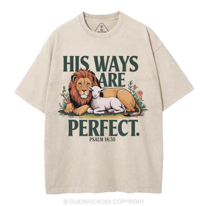His Ways Are Perfect Chrsitian Washed T-Shirt
