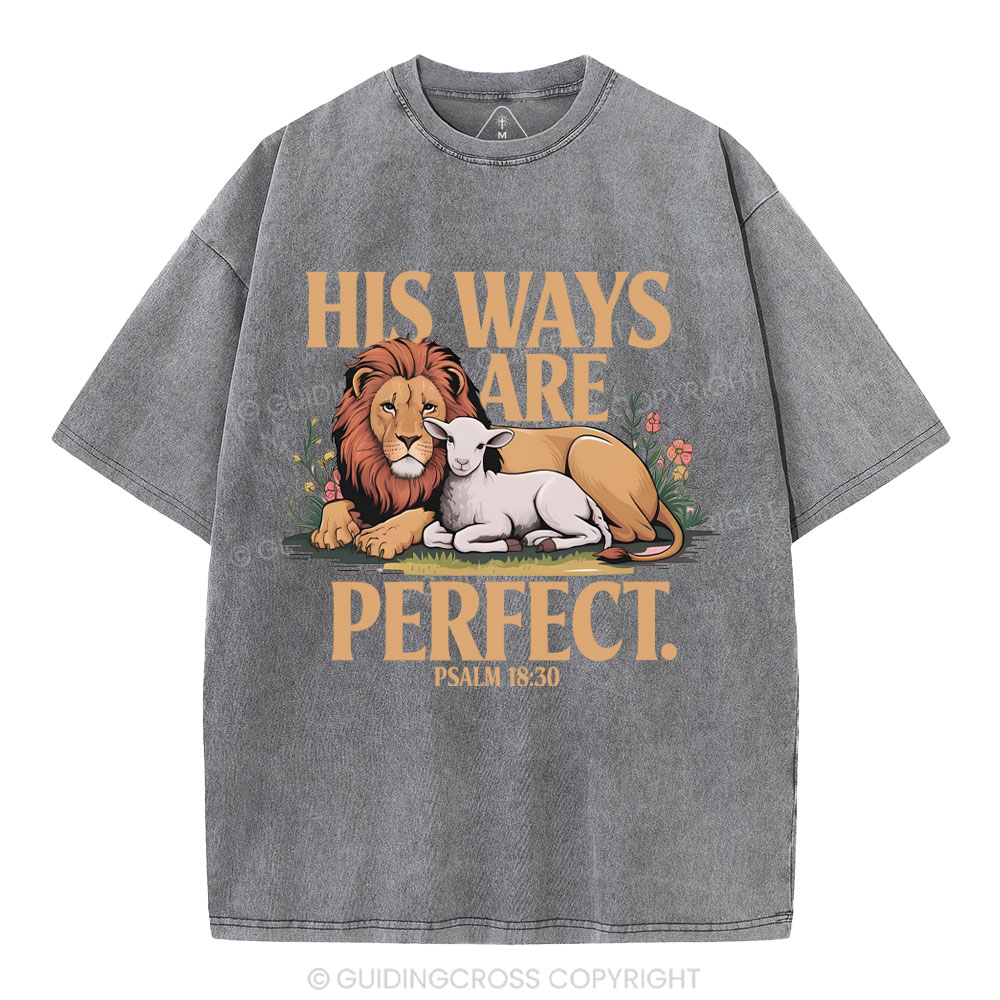 His Ways Are Perfect Chrsitian Washed T-Shirt