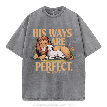 His Ways Are Perfect Chrsitian Washed T-Shirt