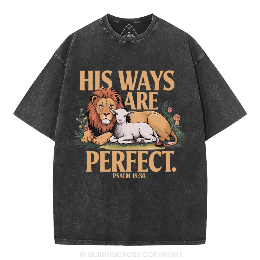 His Ways Are Perfect Chrsitian Washed T-Shirt