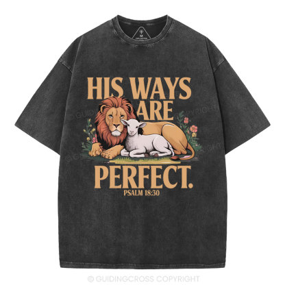 His Ways Are Perfect Chrsitian Washed T-Shirt