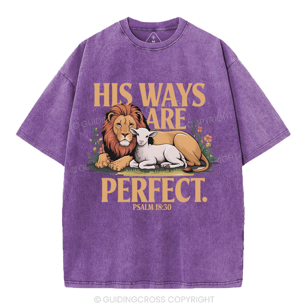 His Ways Are Perfect Chrsitian Washed T-Shirt