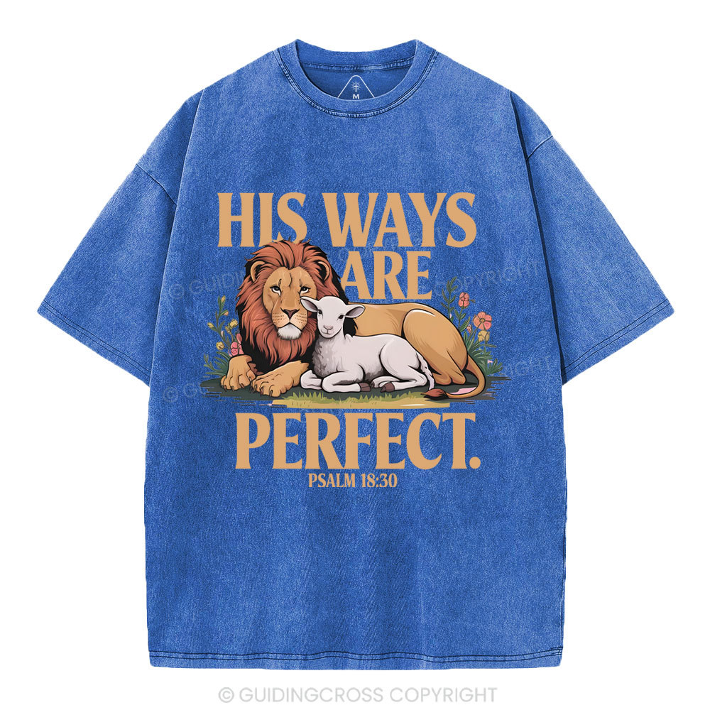 His Ways Are Perfect Chrsitian Washed T-Shirt