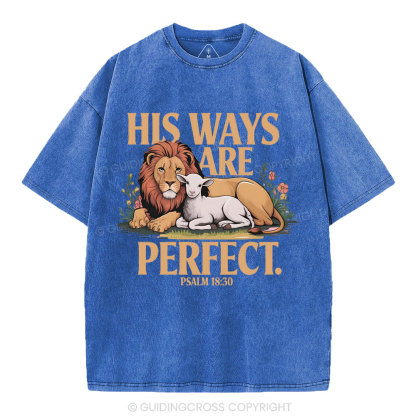 His Ways Are Perfect Chrsitian Washed T-Shirt