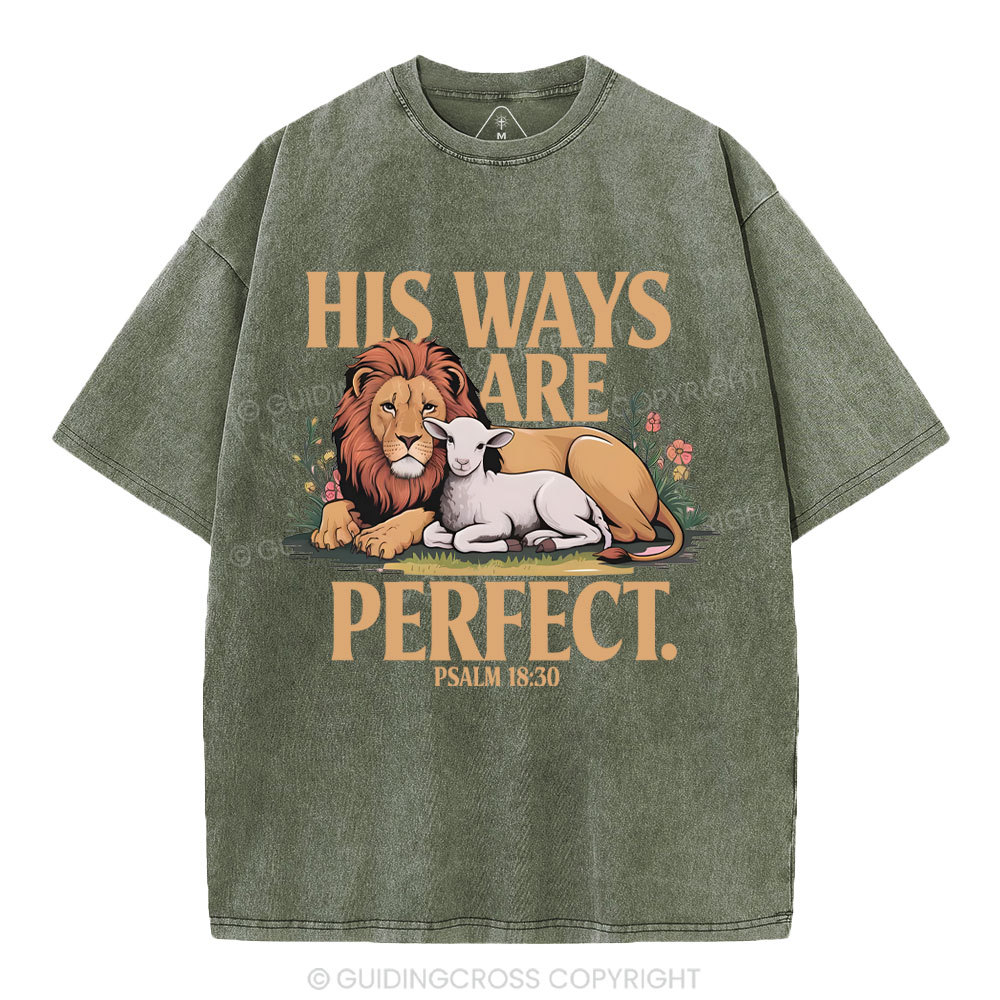 His Ways Are Perfect Chrsitian Washed T-Shirt