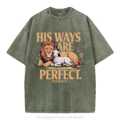 His Ways Are Perfect Chrsitian Washed T-Shirt