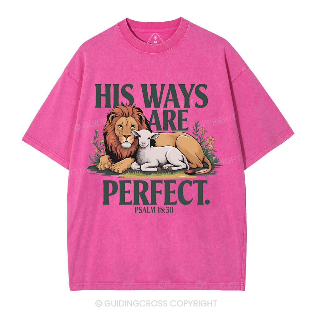 His Ways Are Perfect Chrsitian Washed T-Shirt