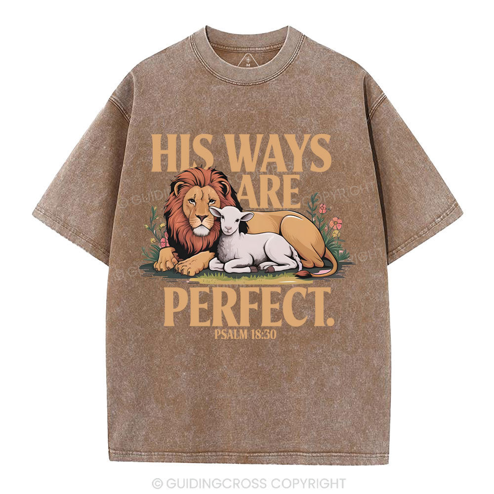 His Ways Are Perfect Chrsitian Washed T-Shirt