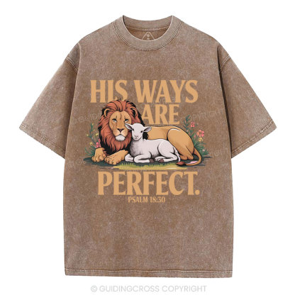 His Ways Are Perfect Chrsitian Washed T-Shirt