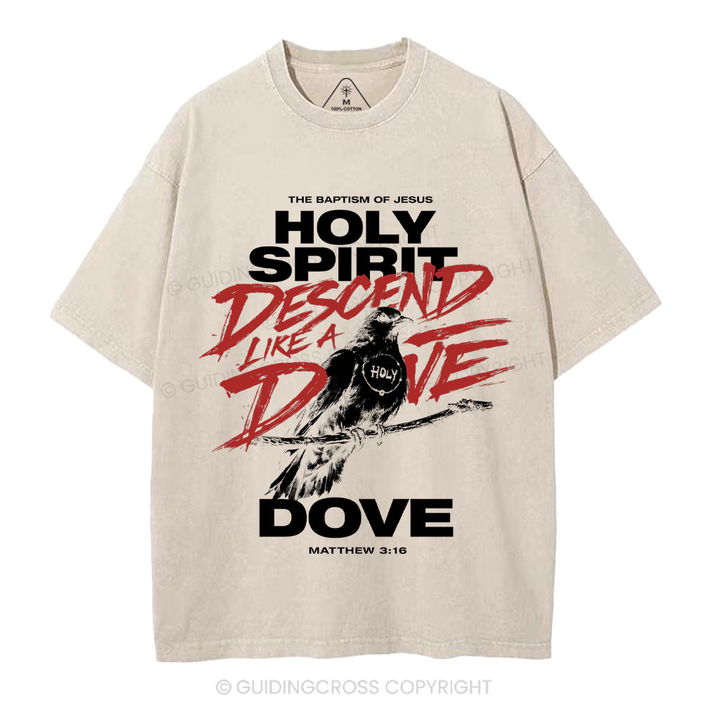Holy Spirit Christian Washed T-Shirt