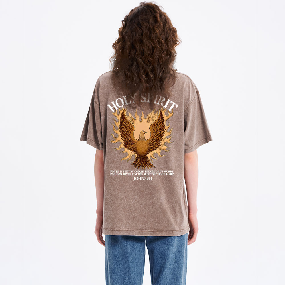 Holy Spirit Christian Washed T-Shirt