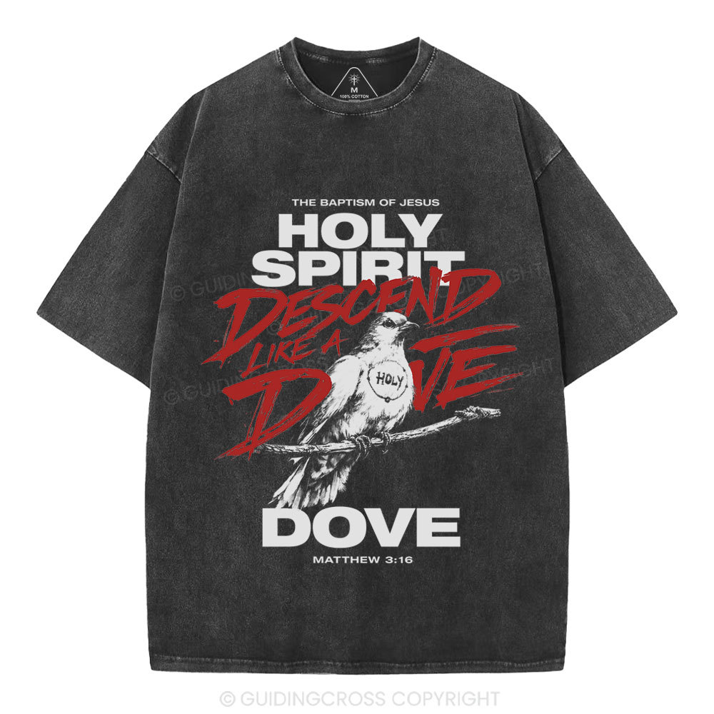 Holy Spirit Christian Washed T-Shirt