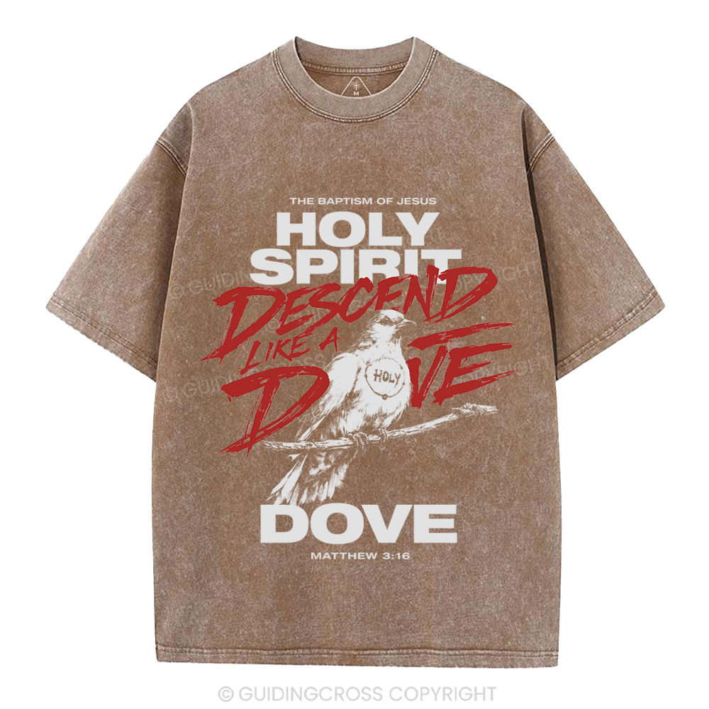 Holy Spirit Christian Washed T-Shirt