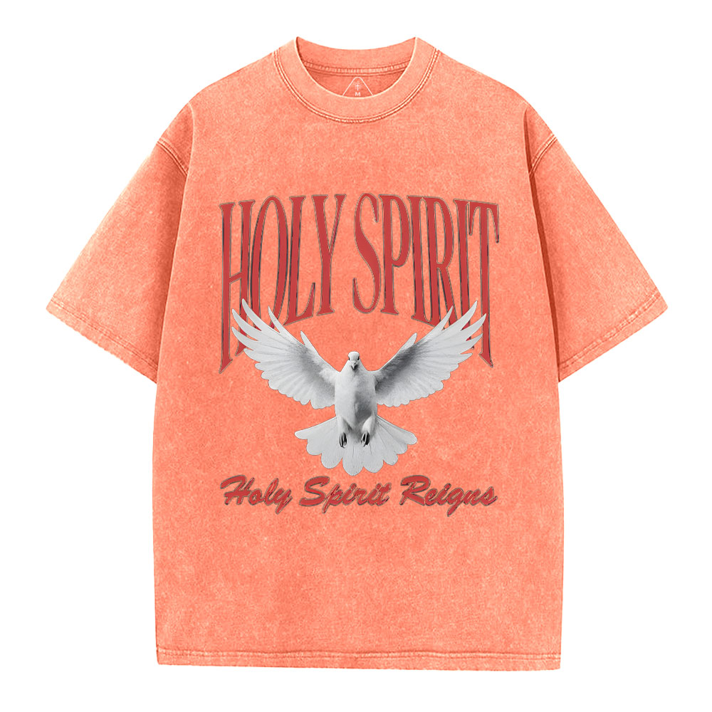 Holy Spirit Christian Washed T-Shirt