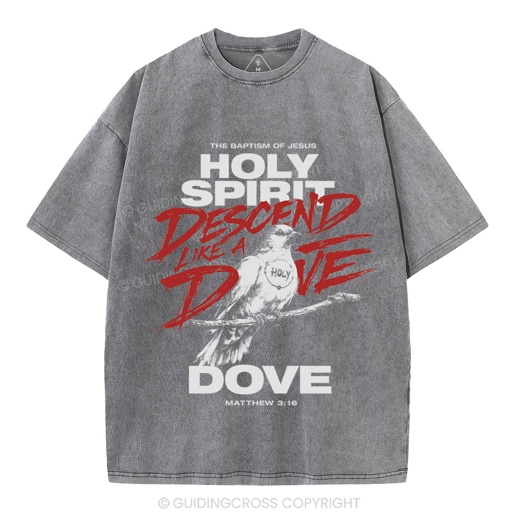 Holy Spirit Christian Washed T-Shirt