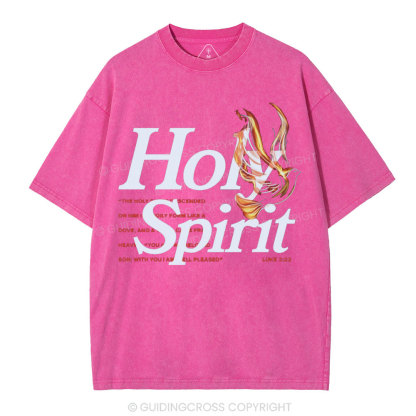 Holy Spirit Christian Washed T-Shirt