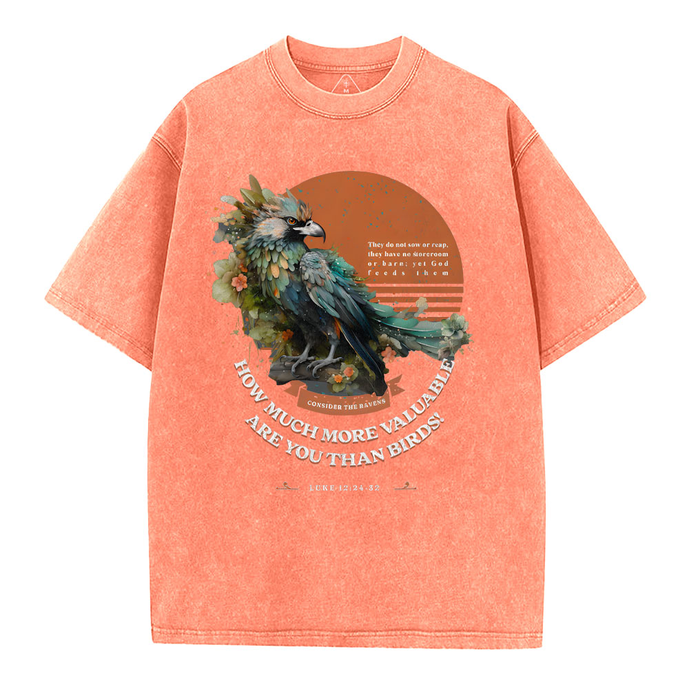 How Much More Valuable Are You Than Birds Christian Washed T-Shirt