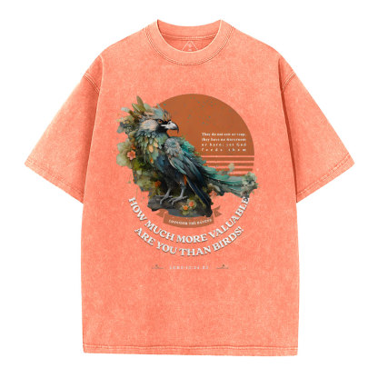 How Much More Valuable Are You Than Birds Christian Washed T-Shirt