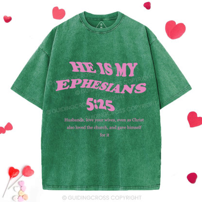 Husbands Love Your Wives Christian Washed T-Shirt