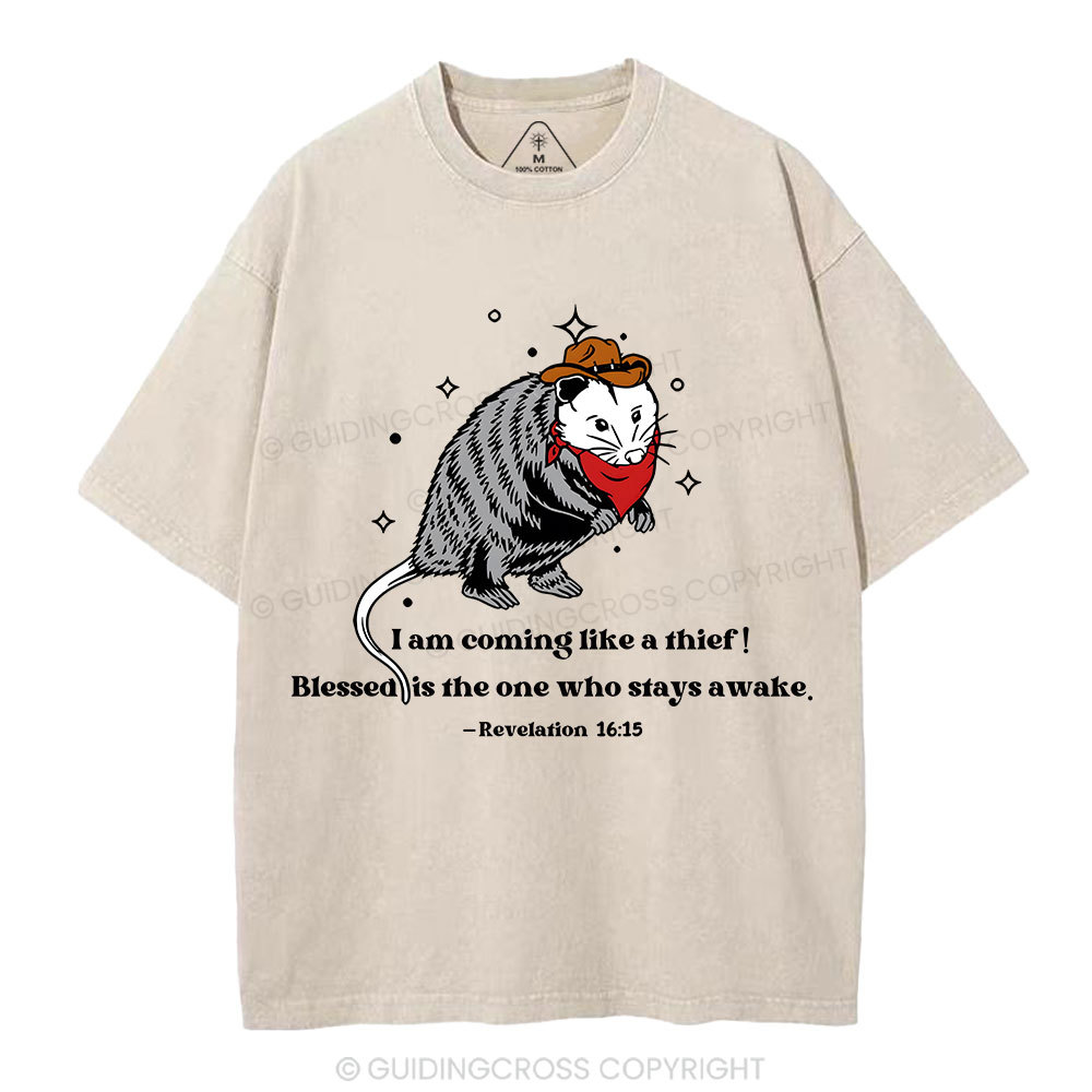 God Is Great Trash Kittens Are Good And Life Is Crazy Christian Washed T-Shirt Sale - GuidingCross