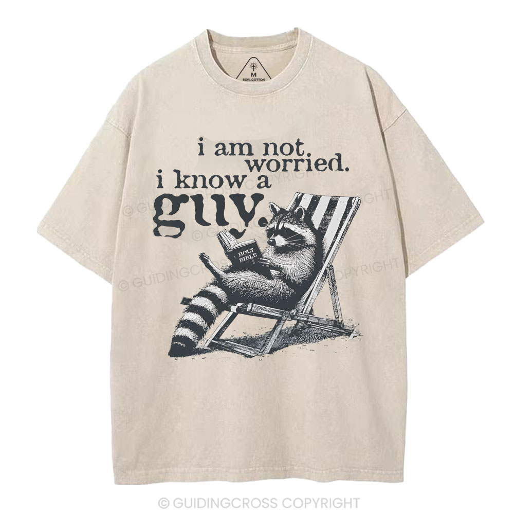 I Am Not Worried Christian Washed T-Shirt