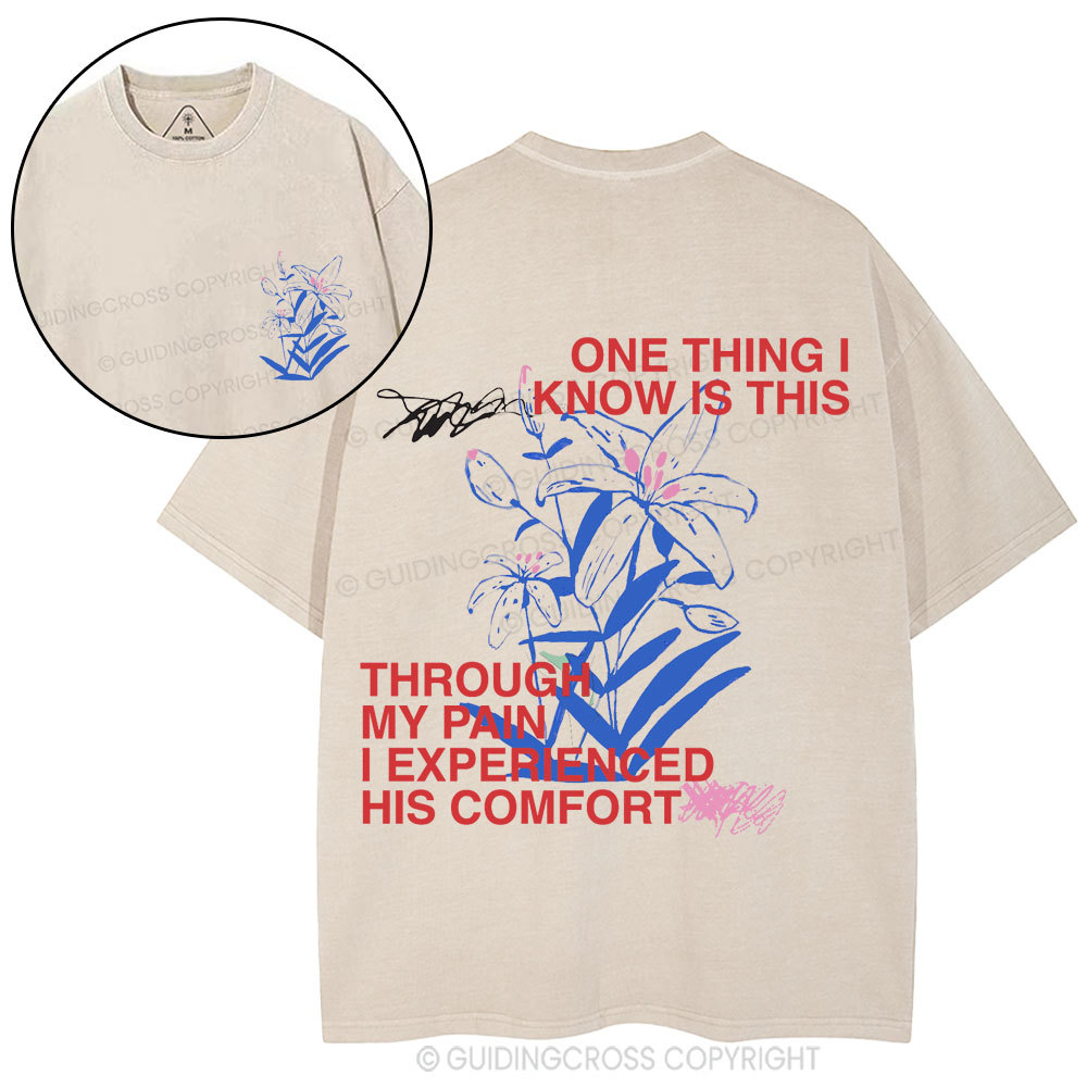 I Experienced His Comfort Christian Washed T-Shirt