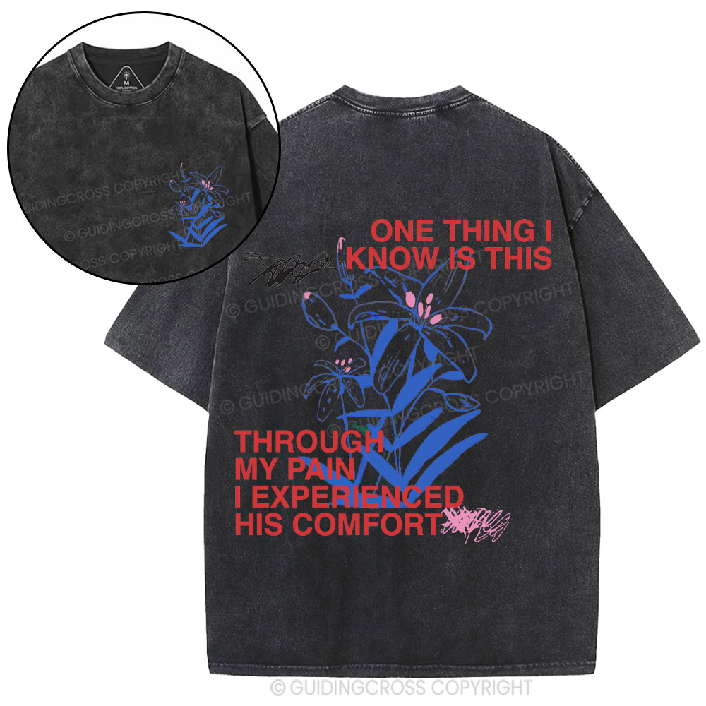 I Experienced His Comfort Christian Washed T-Shirt