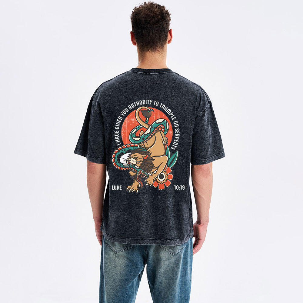 I Have Given You Authority Trample On Serpents Christian Washed T-Shirt