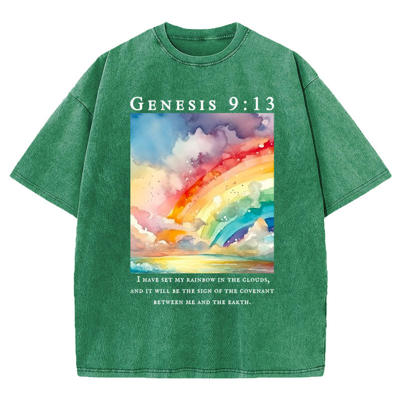 I Have Set My Rainbow In The Clouds Christian Washed T-Shirt