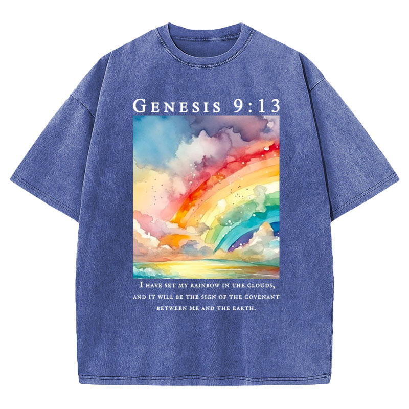 I Have Set My Rainbow In The Clouds Christian Washed T-Shirt