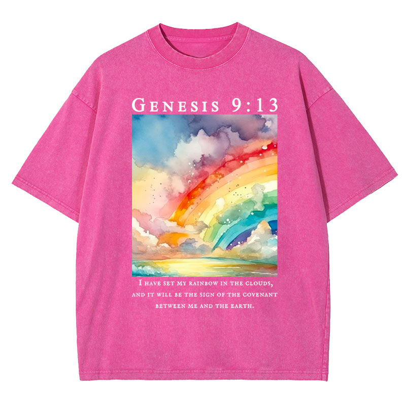 I Have Set My Rainbow In The Clouds Christian Washed T-Shirt