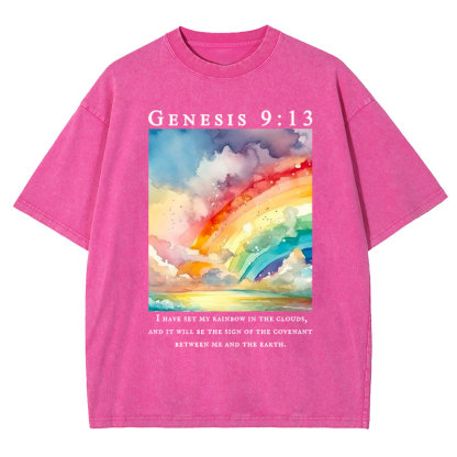 I Have Set My Rainbow In The Clouds Christian Washed T-Shirt