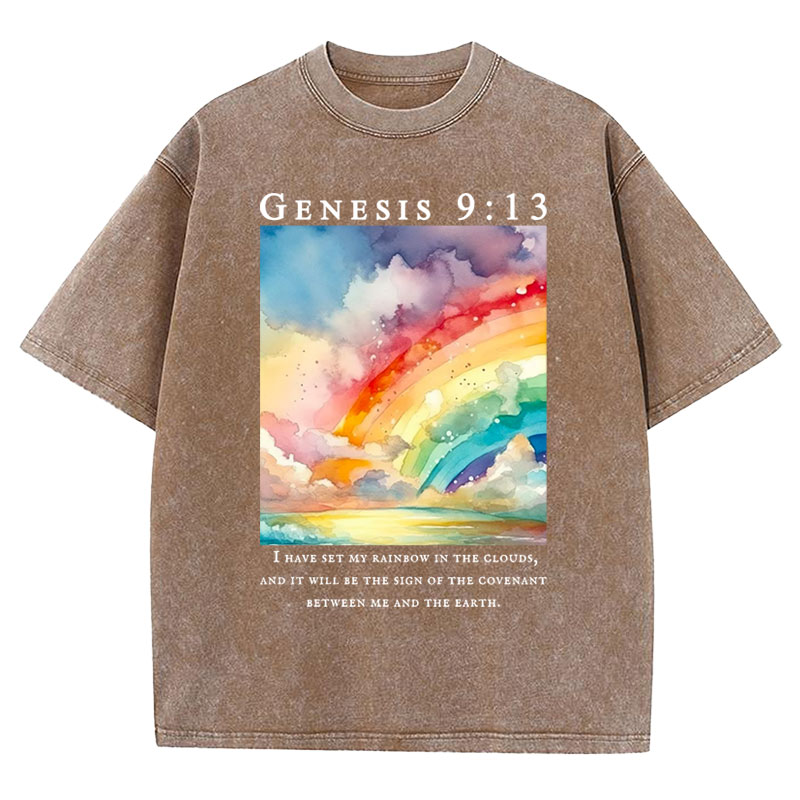 I Have Set My Rainbow In The Clouds Christian Washed T-Shirt