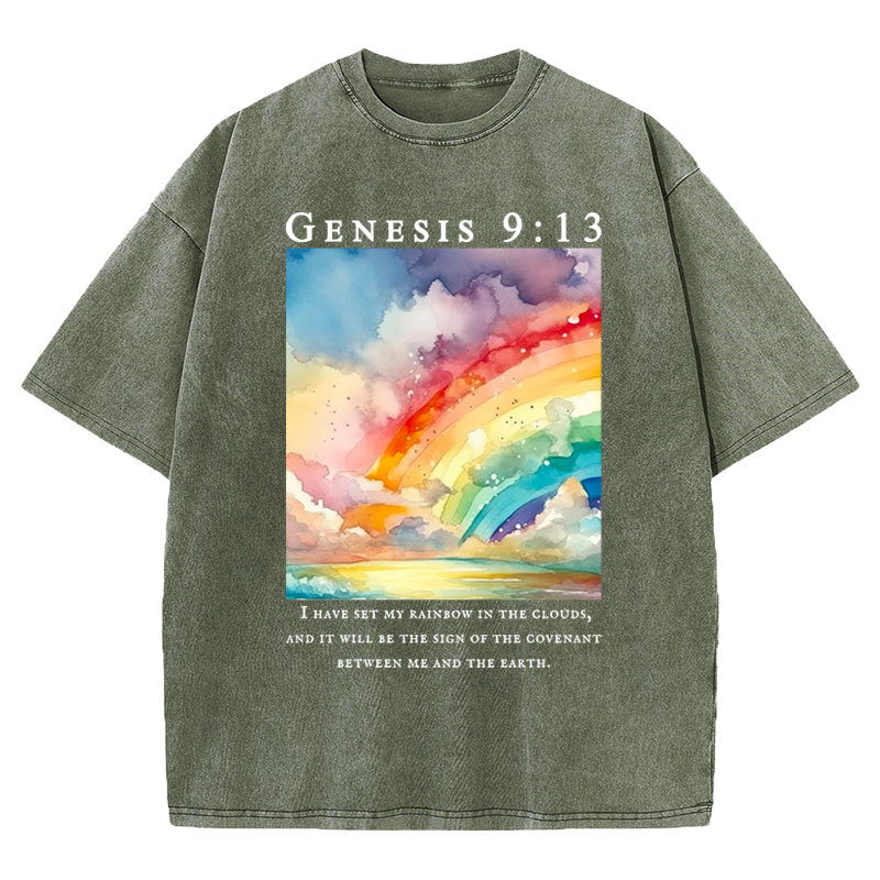 I Have Set My Rainbow In The Clouds Christian Washed T-Shirt