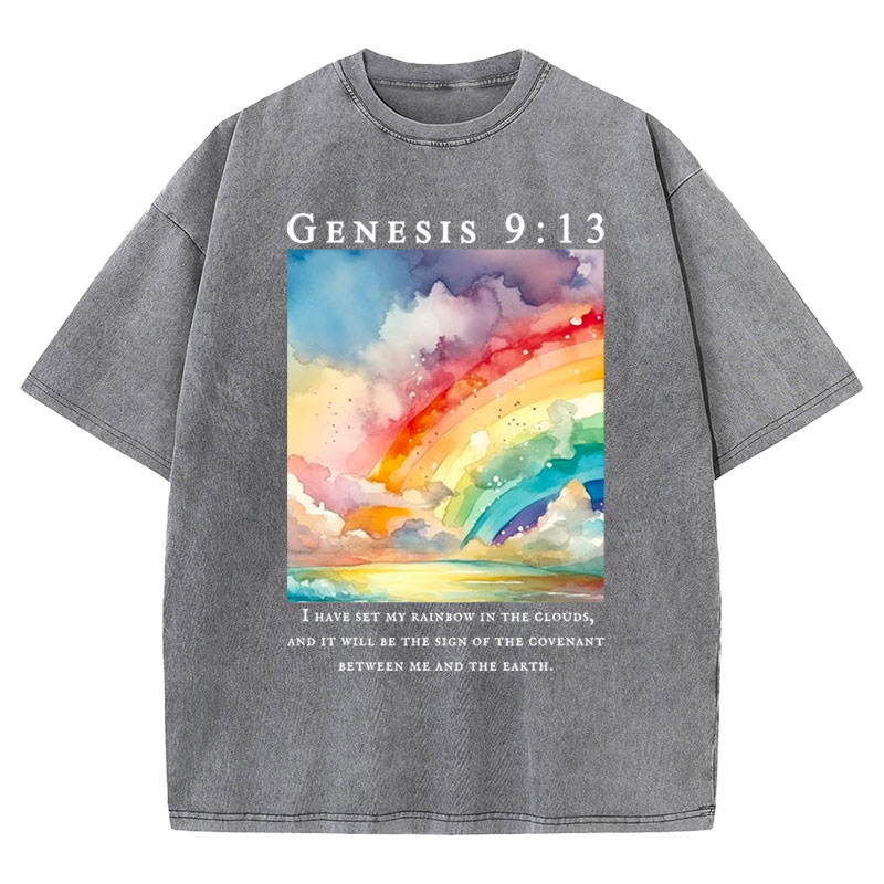 I Have Set My Rainbow In The Clouds Christian Washed T-Shirt