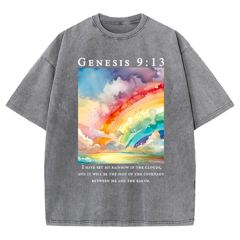 I Have Set My Rainbow In The Clouds Christian Washed T-Shirt