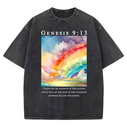 I Have Set My Rainbow In The Clouds Christian Washed T-Shirt