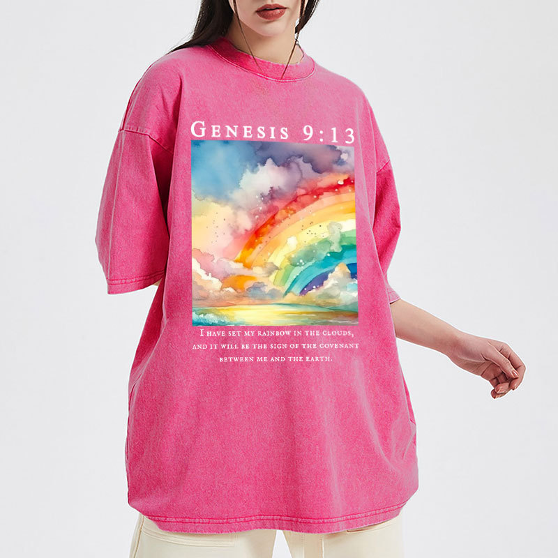 I Have Set My Rainbow In The Clouds Christian Washed T-Shirt