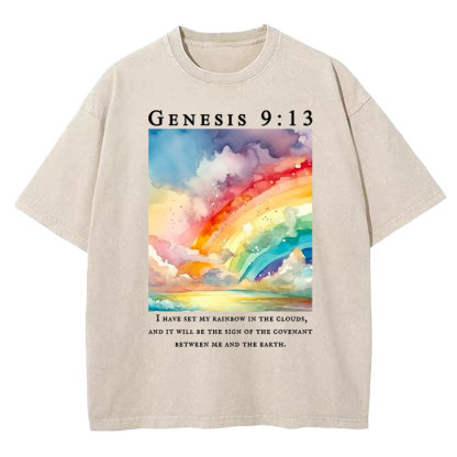I Have Set My Rainbow In The Clouds Christian Washed T-Shirt