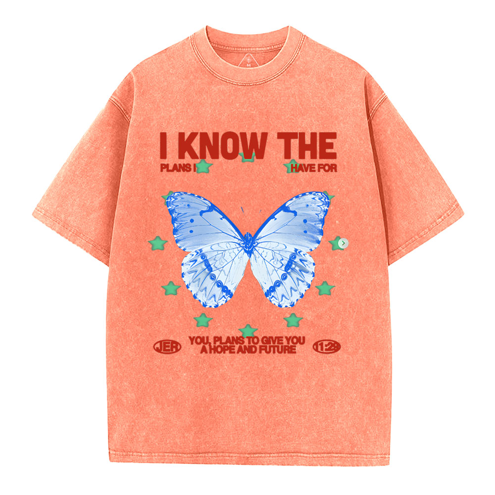 I Know The Plans Christian Washed T-Shirt