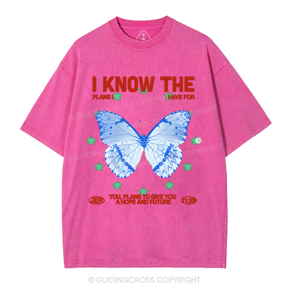 I Know The Plans Christian Washed T-Shirt