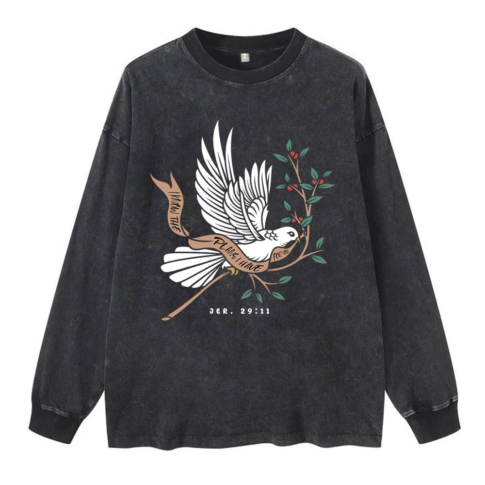 I Know The Plans I Have For You Washed Long Sleeve T-Shirt