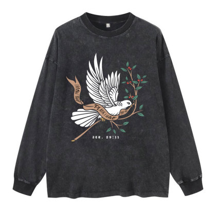 I Know The Plans I Have For You Washed Long Sleeve T-Shirt