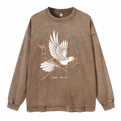 I Know The Plans I Have For You Washed Long Sleeve T-Shirt