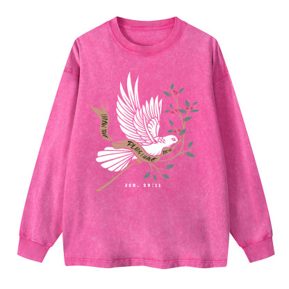 I Know The Plans I Have For You Washed Long Sleeve T-Shirt