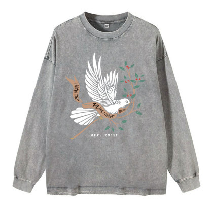 I Know The Plans I Have For You Washed Long Sleeve T-Shirt