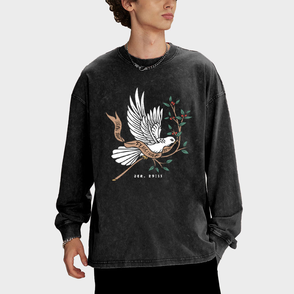 I Know The Plans I Have For You Washed Long Sleeve T-Shirt